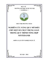 Trần thị phương thảo nghiên cứu nâng quy mô Điều chế một số chất trung gian trong quy trình tổng hợp nintedanib khóa luận tốt nghiệp dược sĩ