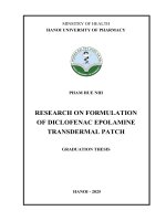 Pham hue nhi research on formulation of diclofenac epolamine transdermal patch graduation thesis
