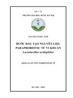 Nguyễn ngọc Ánh bước Đầu tạo nguyên liệu paraprobiotic từ vi khuẩn lactobacillus acidophilus khóa luận tốt nghiệp dược sĩ