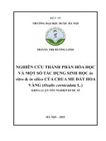 Hoàng Thị Hương Linh Nghiên Cứu Thành Phần Hóa Học Và Một Số Tác Dụng Sinh Học In Vitro & In Silico Của Chua Me Đất Hoa Vàng (Oxalis Corniculata L.) Khóa Luận Tốt Nghiệp Dược Sĩ.pdf