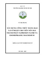 Vũ thị trang xây dựng công thức màng bao tan Ở ruột cho viên nén hai thành phần naproxen natri và esomeprazol magnesium khóa luận tốt nghiệp dược sĩ