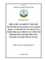 Bùi Thị Cẩm Ly Điều Chế Cao Khô Từ Thân Rễ Bạch Truật (Atractylodes Macrocephala Koidz.) Và Đánh Giá Tác Dụng Cải Thiện Rối Loạn Phổ Tự Kỷ Trên Mô Hình Ruồi Giấm Đột Biến Gen Rugose Gây Hội Chứng Tự Kỷ Khoá Luận Tốt Nghiệp Dượ.pdf