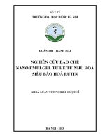 Đoàn Thị Thanh Mai Nghiên Cứu Bào Chế Nano Emulgel Từ Hệ Tự Nhũ Hoá Siêu Bão Hoà Rutin Khoá Luận Tốt Nghiệp Dược Sĩ.pdf