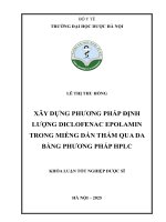 Lê thị thu hồng xây dựng phương pháp Định lượng diclofenac epolamin trong miếng dán thấm qua da bằng phương pháp hplc khóa luận tốt nghiệp dược sĩ