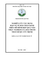Trịnh hương quỳnh nghiên cứu tác dụng bảo vệ tế bào thần kinh trên mô hình Đột quỵ não thực nghiệm của bài thuốc thần dược cứu mệnh khóa luận tốt nghiệp dược sỹ
