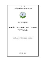 Trịnh thị thu nghiên cứu chiết xuất lipase từ tụy lợn khóa luận tốt nghiệp dược sĩ