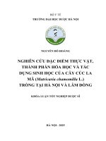Nguyễn Đỗ hoàng nghiên cứu Đặc Điểm thực vật, thành phần hóa học và tác dụng sinh học của cây cúc la mã (matricaria chamomilla l ) trồng tại hà nội và lâm Đồng khóa luận tốt nghiệp dược sĩ