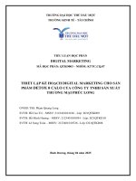Tiểu Luận Cuối Kỳ Digital Marketing.pdf