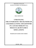 Thai Chinh Tam Unraveling The Synergistic Mechanisms Of Colossolactone And Gefitinib In Cancer Therapy Via Molecular Dynamics Simulations Pharmacist Graduation Thesis.pdf