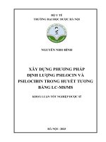 Nguyễn nho bình xây dựng phương pháp Định lượng psilocin và psilocibin trong huyết tương bằng lc msms khoá luận tốt nghiệp dược sĩ