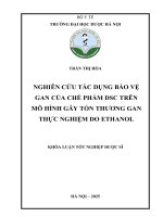 Trần thị hòa nghiên cứu tác dụng bảo vệ gan của chế phẩm dsc trên mô hình gây tổn thương gan thực nghiệm do ethanol khóa luận tốt nghiệp dược sĩ