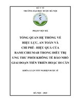 Phạm việt hà tổng quan hệ thống về hiệu lực, an toàn và chi phí   hiệu quả của ramucirumab trong Điều trị ung thư phổi không tế bào nhỏ giai Đoạn tiến triển hoặc di căn khóa luận tốt nghiệp dược sĩ