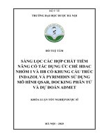 Hồ Tuệ Tâm Sàng Lọc Các Hợp Chất Tiềm Năng Có Tác Dụng Ức Chế Hdac Nhóm I Và Iib Có Khung Cấu Trúc Indazol Và Pyrimidin Sử Dụng Mô Hình Qsar, Docking Phân Tử Và Dự Đoán Admet Khóa Luận Tốt Nghiệp Dược Sĩ.pdf