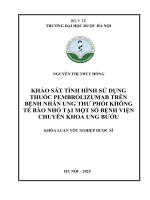 Nguyễn thị thúy hồng khảo sát tình hình sử dụng thuốc pembrolizumab trên bệnh nhân ung thư phổi không tế bào nhỏ tại một số bệnh viện chuyên khoa ung bướu khóa luận tốt nghiệp dược sĩ