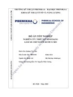 Nghiên cứu thiết kế hình dạng gầm xe chở người dưới 9 chỗ ngồi