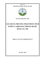 Nguyễn phương anh xây dựng phương pháp phân tích ethyl carbamat trong rượu bằng gc ms khoá luận tốt nghiệp dược sĩ