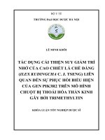 Lê minh khôi tác dụng cải thiện suy giảm trí nhớ của cao chiết lá chè Đắng (ilex kudingcha c  j  tseng) liên quan Đến sự phục hồi biểu hiện của gen pik3r2 trên mô hình chuột bị thoái hóa thần kinh gây bởi trimethyltin khóa luậ