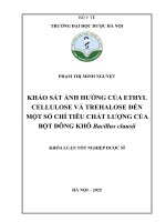 Phạm thị minh nguyệt khảo sát Ảnh hưởng của ethyl cellulose và trehalose Đến một số chỉ tiêu chất lượng của bột Đông khô bacillus clausii khóa luận tốt nghiệp dược sĩ