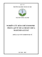 Nguyễn tống Ái linh nghiên cứu bào chế exosome phân lập từ dưa chuột chứa mafenid acetat khóa luận tốt nghiệp dược sĩ