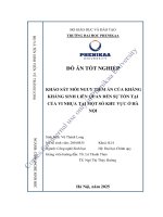 Khảo sát mối nguy tiềm Ẩn của kháng kháng sinh liên quan Đến sự tồn tại của vi nhựa tại một số khu vực Ở hà nội