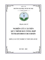 Phạm anh vũ nghiên cứu cải tiến quy trình bán tổng hợp tetrahydrocurcurmin khóa luận tốt nghiệp cử nhân hóa dược