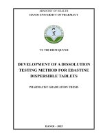 Vu thi diem quynh development of a dissolution testing method for ebastine dispersible tablets pharmacist graduation thesis