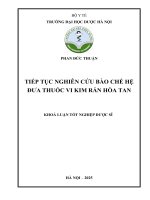 Phan Đức thuận tiếp tục nghiên cứu bào chế hệ Đưa thuốc vi kim rắn hòa tan khoá luận tốt nghiệp dược sĩ