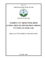 Nguyễn tuyết mai nghiên cứu Định tính, Định lượng một số thành phần trong củ sâm cau Đắk lắk khoá luận tốt nghiệp cử nhân hoá dược