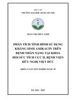Trần thị thùy linh phân tích tình hình sử dụng kháng sinh amikacin trên bệnh nhân nặng tại khoa hồi sức tích cực ii, bệnh viện hữu nghị việt Đức khóa luận tốt nghiệp dược sĩ