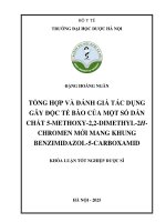 Đặng hoàng ngân tổng hợp và Đánh giá tác dụng gây Độc tế bào của một số dẫn chất 5 methoxy 2,2 dimethyl 2h  chromen mới mang khung benzimidazol 5 carboxamid khóa luận tốt nghiệp dược sĩ