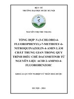 Nguyễn Thị Thu Trang Tổng Hợp N-(3-Chloro-4- Fluorophenyl)-7-Methoxy-6- Nitroquinazolin-4-Amin Làm Chất Trung Gian Trong Quy Trình Điều Chế Dacomitinib Từ Nguyên Liệu Acid 2-Amino-4- Fluorobenzoic Khoá Luận Tốt Nghiệp Cử Nhân .Pdf