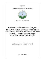 Nguyễn Quỳnh Chi Khảo Sát Tình Hình Sử Dụng Thuốc Atezolizumab Trên Bệnh Nhân Ung Thư Phổi Không Tế Bào Nhỏ Tại Một Số Bệnh Viện Chuyên Khoa Ung Bướu Khóa Luận Tốt Nghiệp Dược Sĩ.pdf