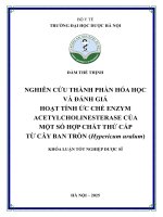 Đàm thế thịnh nghiên cứu thành phần hóa học và Đánh giá hoạt tính Ức chế enzym acetylcholinesterase của một số hợp chất thứ cấp từ cây ban tròn (hypericum uralum) khóa luận tốt nghiệp dược sĩ
