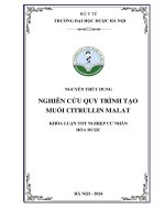 Nguyễn thùy dung nghiên cứu quy trình tạo muối citrullin malat khóa luận tốt nghiệp cử nhân hóa dược