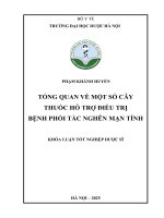 Phạm khánh huyền tổng quan về một số cây thuốc hỗ trợ Điều trị bệnh phổi tắc nghẽn mạn tính khóa luận tốt nghiệp dược sĩ
