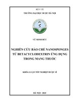 Vũ minh Đức nghiên cứu bào chế nanosponges từ betacyclodextrin Ứng dụng trong mang thuốc khóa luận tốt nghiệp dược sĩ