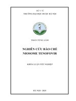 Trần tùng lâm nghiên cứu bào chế niosome tenofovir khóa luận tốt nghiệp