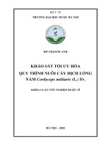 Đỗ thị kim anh khảo sát tối Ưu hóa quy trình nuôi cấy dịch lỏng nấm cordyceps militaris (l ) fr  khóa luận tốt nghiệp dược sĩ