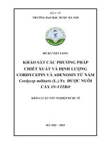 Đỗ Bá Việt Long Khảo Sát Các Phương Pháp Chiết Xuất Và Định Lượng Cordycepin Và Adenosin Từ Nấm Cordycep Militaris (L.) Fr.  Được Nuôi Cấy In-Vitro Khóa Luận Tốt Nghiệp Dược Sĩ.pdf