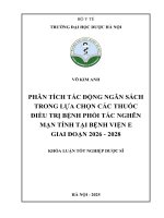 Võ kim anh phân tích tác Động ngân sách trong lựa chọn các thuốc Điều trị bệnh phổi tắc nghẽn mạn tính tại bệnh viện e giai Đoạn 2026   2028 khóa luận tốt nghiệp dược sĩ