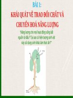 BÀI 1. KHÁI QUÁT VỀ TRAO ĐỔI CHẤT VÀ CHUYỂN HOÁ NĂNG LƯỢNG SINH HỌC 11