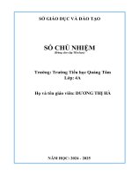 Sochunhiem4A (1)