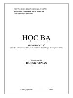 Sổ học bạ 6a cả lớp