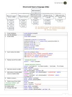 Structured query language