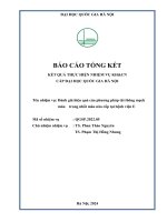 00060000929 Đánh giá hiệu quả của phương pháp tái thông mạch máu trong nhồi máu não cấp tại bệnh viện e