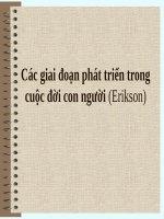 Cac giai doan phat trien trong cuoc doi con nguoi (Erikson)