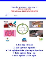 Dap an chi tiet chuong 4 hoa 11 chuong trinh moi hydrocarbon