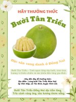 Tờ rơi giới thiệu về Bưởi Tân Triều - Ngữ Văn 9 CTST tập 2