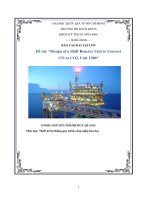 Đồ án môn học: Thiết kế hệ thống quy trình công nghệ hóa học, Đề tài: Design of a Shift reactor unit to Convert CO to CO2, Unit 1300.