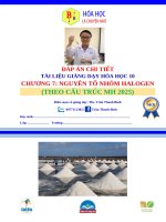 Dap an chi tiet chuong 7 hoa 10 chuong trinh moi nguyen to nhom halogen